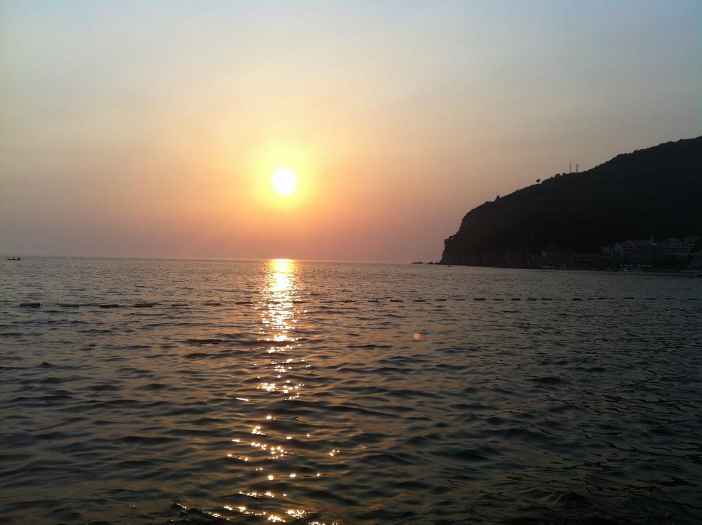 Regent Apartment Petrovac Habitación foto